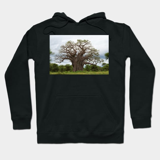 Baobab Tree Hoodie by yairkarelic